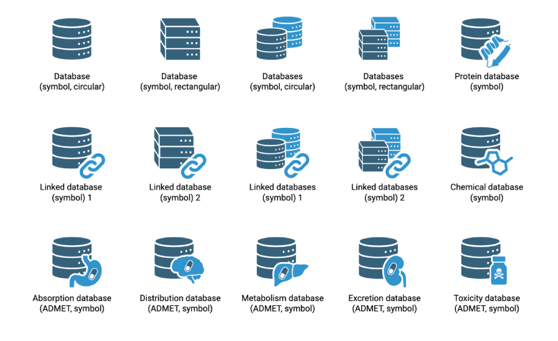 Database Schema